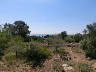 Masia a Alcanar. Finca rústica, de 520 m2, con vistas al mar.