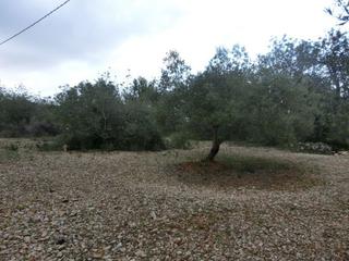 Wohngrundstück in Centre. Sant carles de la rapita, poligono  el salt. parcela de 11.700 m