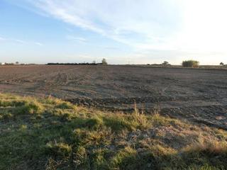 Bauernhof in Nord. Finca de arroz de 52 jornales. a 3 km de la población, en pleno