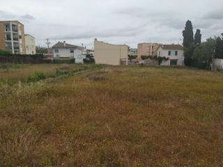 Terreny residencial a Alcanar. Parcela de 2.300m2, con luz. a 500 m, del mar