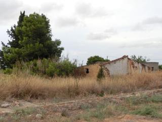 Mas à Nord. Finca rústica de regadio con caseta.