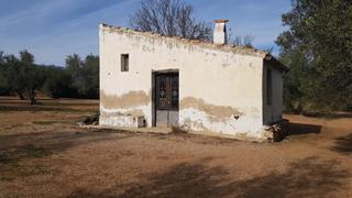 Country house in Mas de Barberans. Finca rústica de olivos con caseta de campo