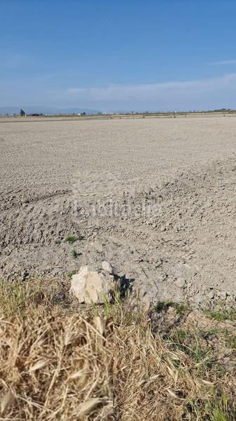 Foto 75f5b59c-85e0-429b-8aca-3fd3f608365e. Propriété dans Eucaliptus - Poble Nou del Delta Amposta