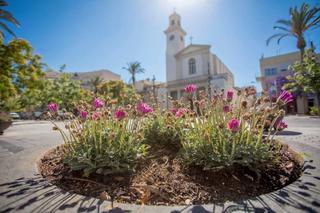 Terreny residencial a Avinguda Catalunya