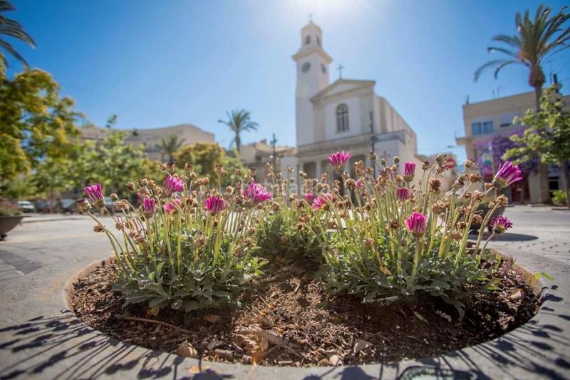 Foto 11a1813a-163c-493a-973f-97fa60c453e1. Wohngrundstück in Avinguda Catalunya Sant Carles de la Ràpita