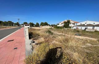 Terreny residencial a Alcanar. Quieres construir tu casa de ensueño?