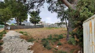 Terreny residencial a Alcanar. Parcela de 582 m2 para construir la casa de sus sueños.