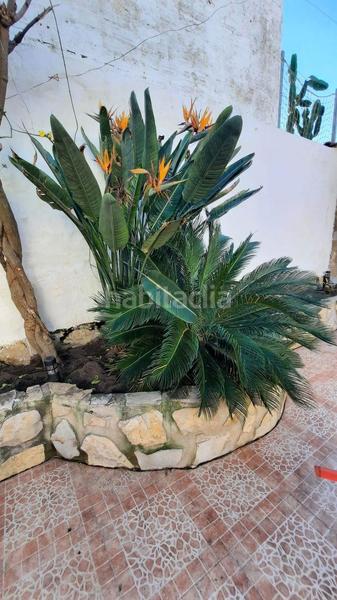 Foto 68d49522-1e57-4092-954e-e84739c08e0d. Casa in Eucaliptus - Poble Nou del Delta Amposta