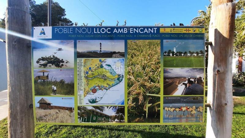 Foto 6ea2c590-6187-411f-bd58-5e426502dcb6. Casa in Eucaliptus - Poble Nou del Delta Amposta