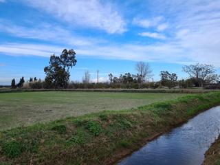 Finca rústica a Casc Antic. Se vende finca rústica de regadío en poble nou del delta, ampost