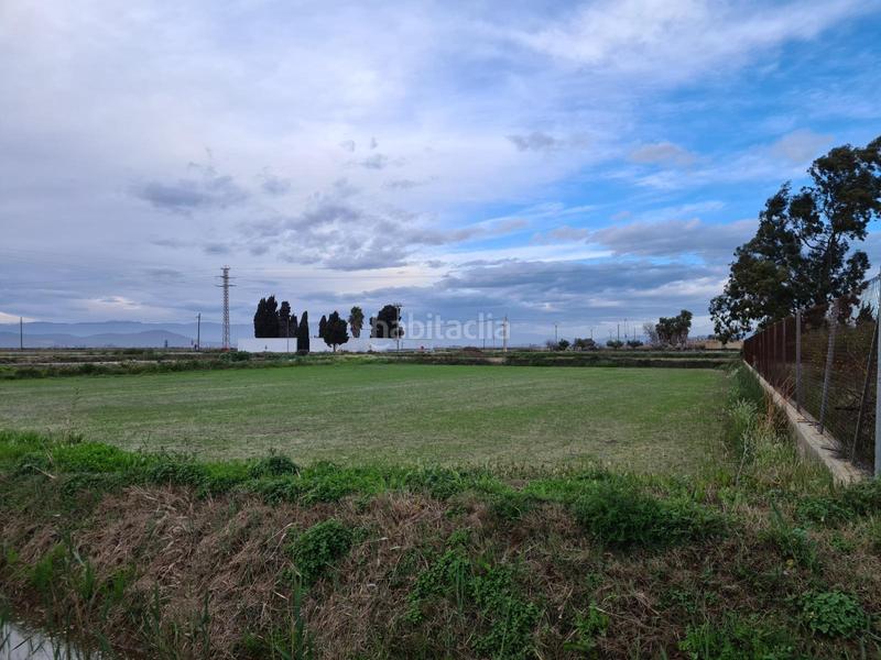 Foto 1bb6bb30-fe56-4088-89b7-f910bc6a5677. Rural plot in Casc Antic Amposta
