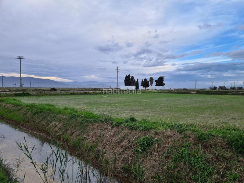 Foto 49ade39b-e884-4875-8b81-a42041c45f6e. Rural plot in Casc Antic Amposta