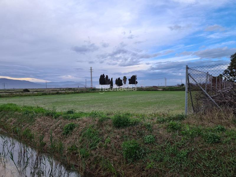 Foto 4a1f7878-e99a-4f39-8f81-1cc104b19bbe. Rural plot in Casc Antic Amposta