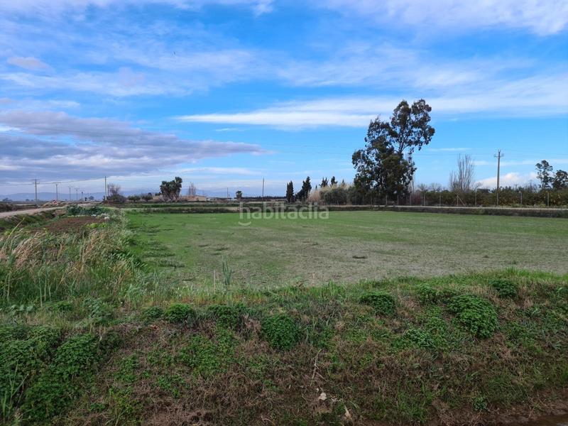 Foto 8b56cb01-f4b8-43e7-a0c9-ac74b5f02c52. Rural plot in Casc Antic Amposta