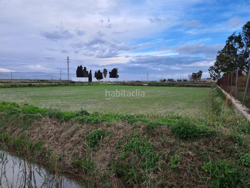 Foto 91eb7d26-67c8-467e-ad30-47df4ee4f4b5. Rural plot in Casc Antic Amposta