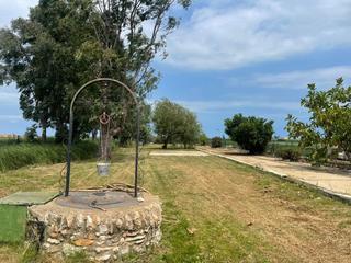 Mas à Eucaliptus - Poble Nou del Delta. Finca con encantadora caseta de madera