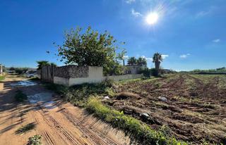 Mas à Alcanar. Finca rústica de 1.598 m2, con casa, a 5 minutos del pueblo