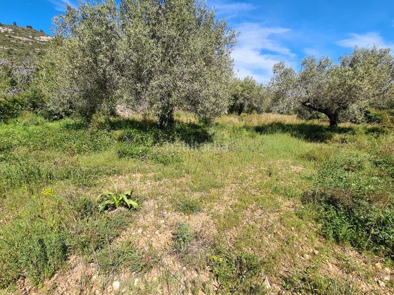 Foto 66d0afa9-0472-4afd-b344-8210fc8ea185. Finca rústica a Nord La Ràpita