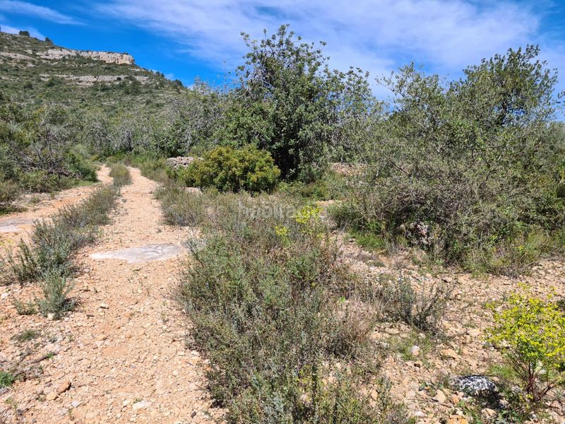 Foto 7ea0c16d-e152-433a-8a36-11d04701e73b. Finca rústica a Nord La Ràpita
