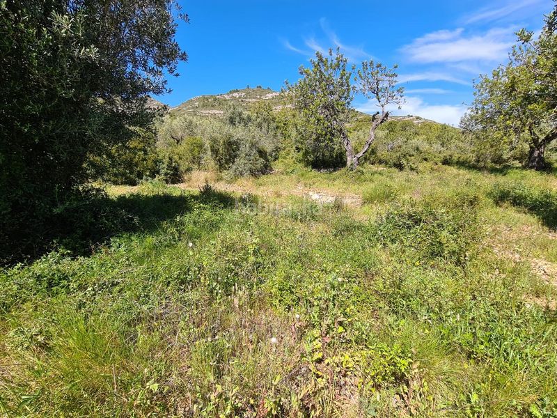 Foto a4ec379d-588d-4018-ad13-13830db4e351. Finca rústica a Nord La Ràpita