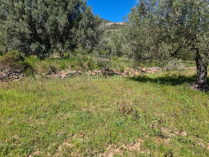 Foto a6591c08-5d08-4cbb-91f6-8691297e1489. Finca rústica a Nord La Ràpita