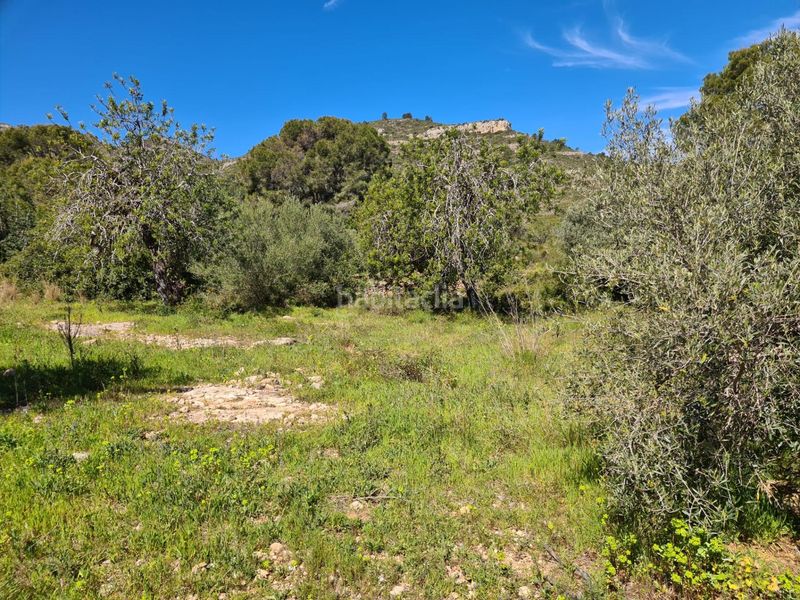 Foto ac706449-7323-4db5-88a8-4afa02b50e45. Finca rústica a Nord La Ràpita