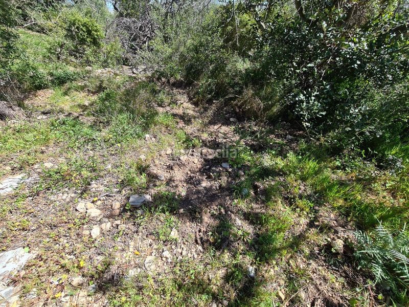 Foto b8839297-ca5a-453d-8505-f5fd3278fc7a. Finca rústica a Nord La Ràpita
