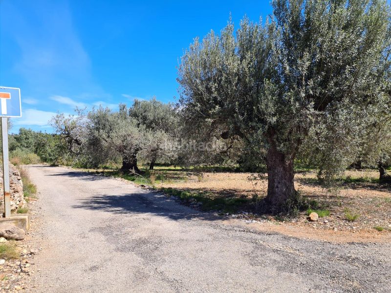 Foto cedf5f8f-0f87-4511-9a1f-654c6086f836. Finca rústica a Nord La Ràpita