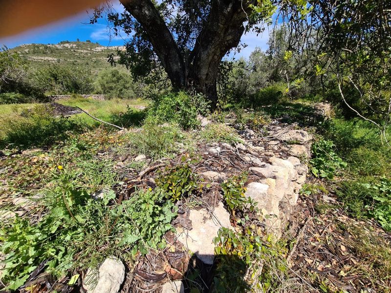 Foto e6a0a94e-54d9-46de-8b05-44a634427d62. Finca rústica a Nord La Ràpita