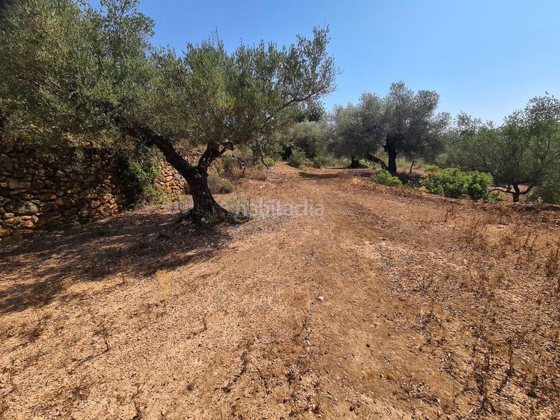 Foto 1f274ce6-e471-4b40-935b-7c42bd81709e. Finca rústica a Freginals