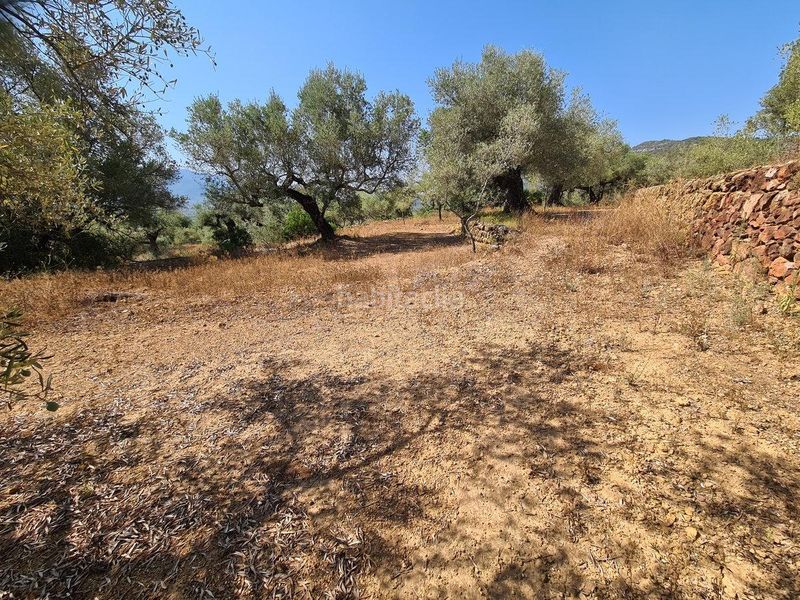 Foto ecf7626e-abd8-4efb-866d-6e087f5a7e85. Finca rústica a Freginals