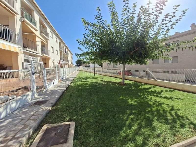 Foto 5463e5ef-b92d-48be-ae49-1e527986159f. Planta baixa amb aparcament piscina a Alcanar