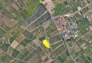 Terreny residencial a Guardamar. Suelo urbanizable residencial disponible en guardamar de la safo