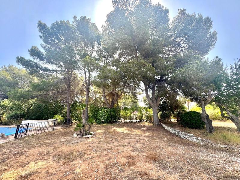 Foto 776ae070-d7af-4864-8bb3-774dc21dbcb5. Chalet complejo residencial con encanto en xabia, ideal para negocios o familias. en Xàbia