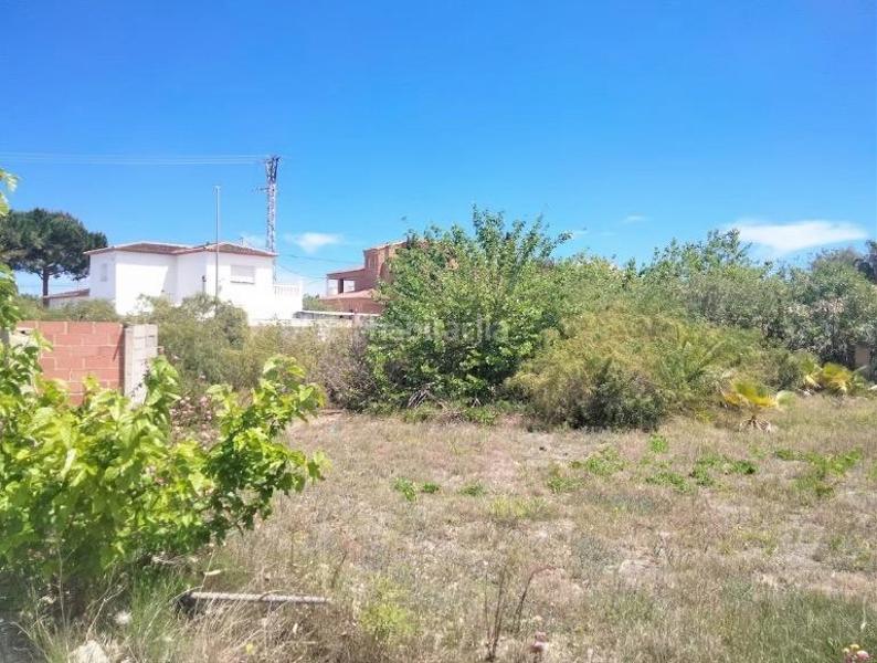 Foto 3a97ee40-b0d8-4ca7-b6f6-2b94b4d05288. Terreno residenziale in Devessa - Monte Pego Dénia