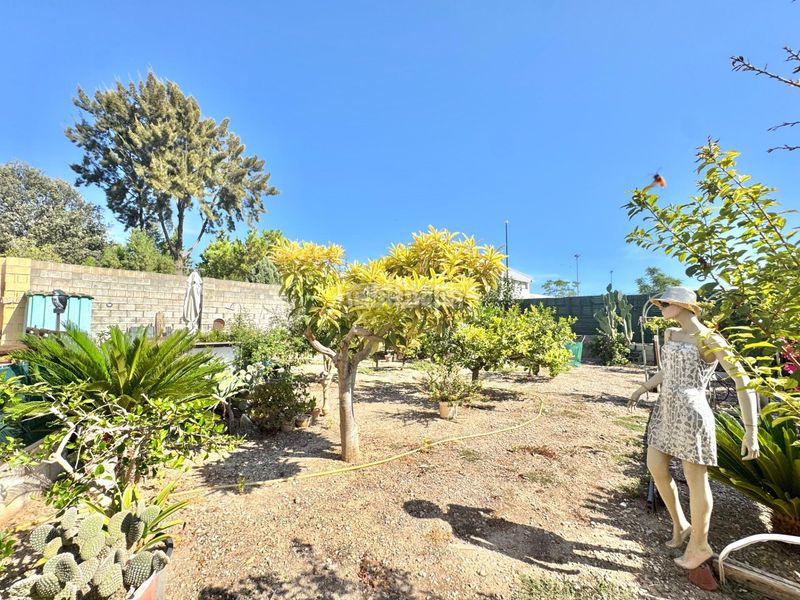 Foto 53324bfd-b954-4dd3-8865-a016915289db. Xalet amb aparcament piscina a Palmera