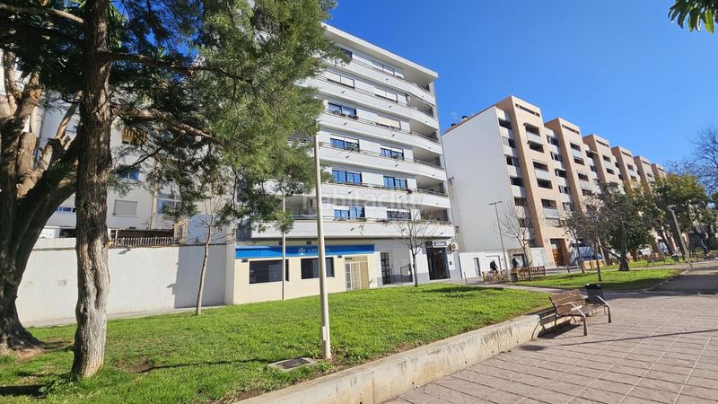Foto b3eb93ee-9ee5-4788-a6bb-9a27c4b2e445. Pis a Corea Gandia