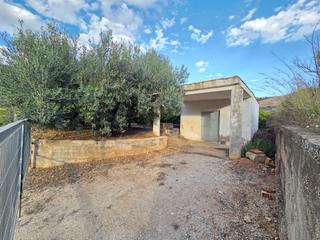 Masa en Atzbia (L). Terreno con casa de aperos