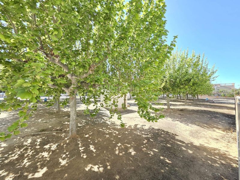 Foto 20b4c8f2-05b9-499c-bd2f-3124d6c7befa. Apartament amb aparcament piscina a Miramar