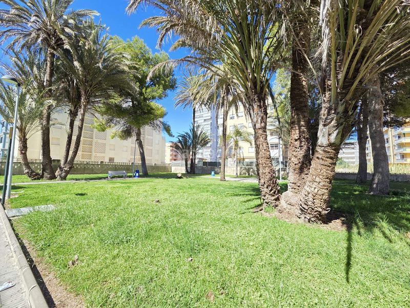 Foto edcf750e-52b7-4da0-a23a-9c21294264ee. Apartament amb aparcament piscina a Miramar