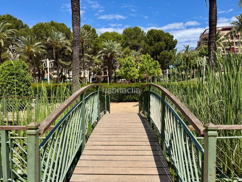 Foto 3ad5e7a3-ec57-4a4a-be26-a6faacc4c385. Pis a Beniopa - Sant Pere Gandia