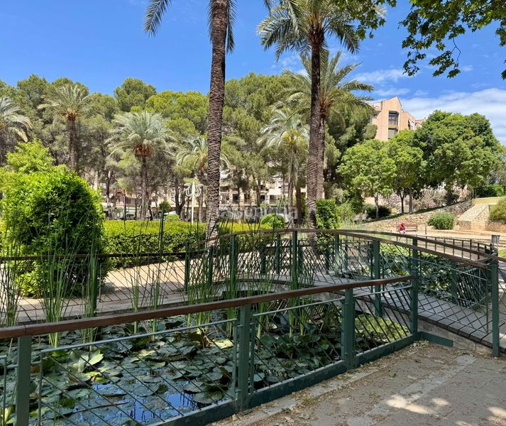 Foto a8c9ffbf-0601-4788-a409-554cd457ad27. Pis a Beniopa - Sant Pere Gandia