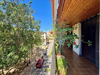 Pis a Centro Histórico. Espectacular piso de 180 m2 en el corazón de gandía  junto al ay