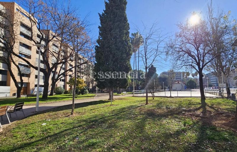 Foto 15f736aa-2e70-4560-b296-ebdcd6ba5b21. Pis a Centro Histórico Gandia