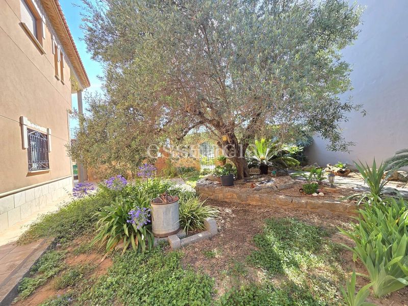 Foto 44e47329-6d3e-4cfb-a9b6-78534151e266. Casa amb aparcament a Alfauir