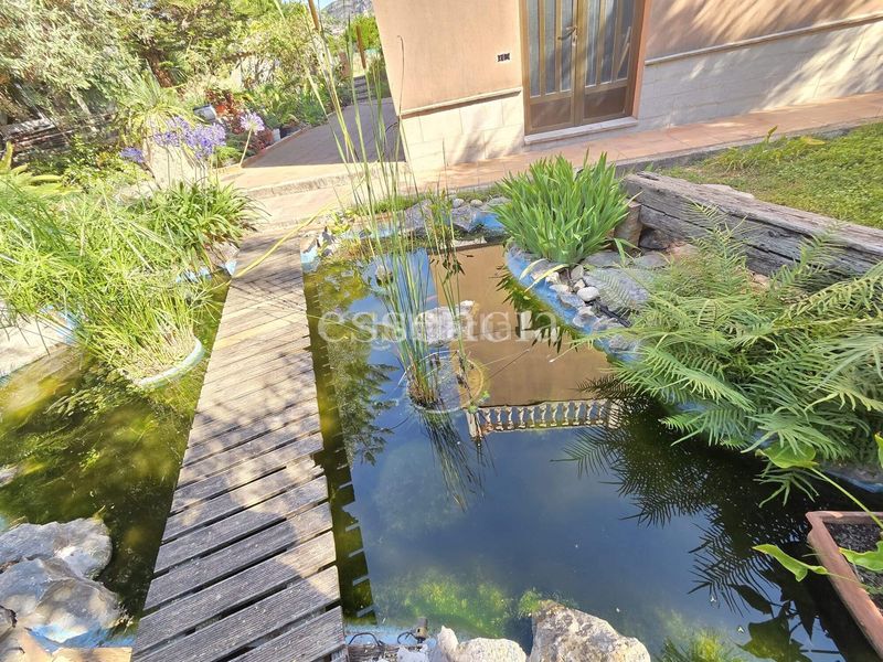 Foto 88baf018-1b26-4526-9fe3-f08f5518d8bf. Casa amb aparcament a Alfauir