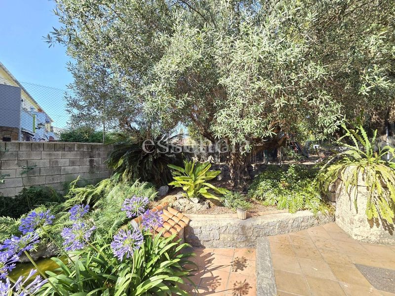 Foto d598e9a8-9856-44e0-9656-662f7a6cdf4a. Casa amb aparcament a Alfauir