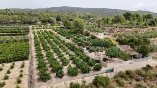 Chalet en Benicolet. Oferta finca con chalet legalizado y 10.100 m2 de parcela para a