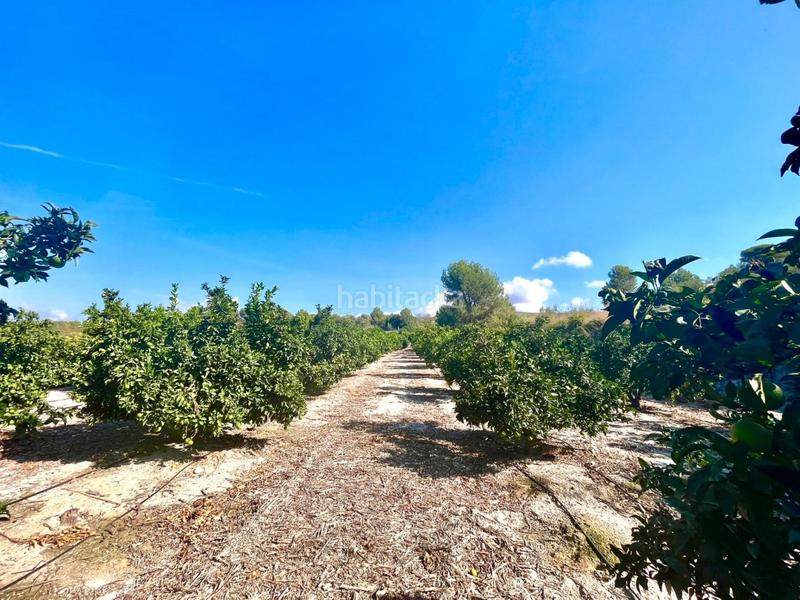 Foto 09d334ec-4c21-4174-a789-f9d67577ade9. Xalet amb aparcament a Benicolet