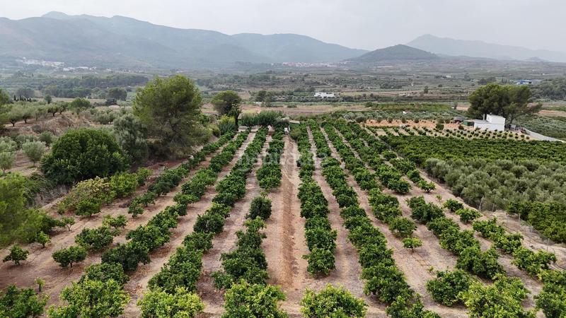 Foto 116d13cc-72f0-4d34-a448-4312f6552e11. Xalet amb aparcament a Benicolet